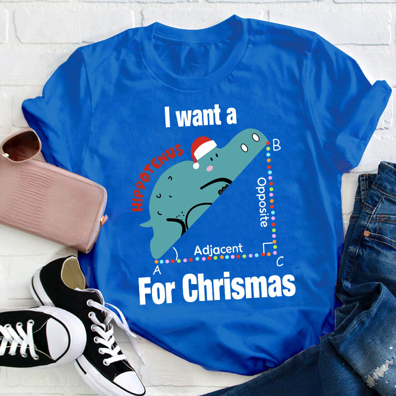I Want A Hippotenus For Christmas Teacher T-Shirt