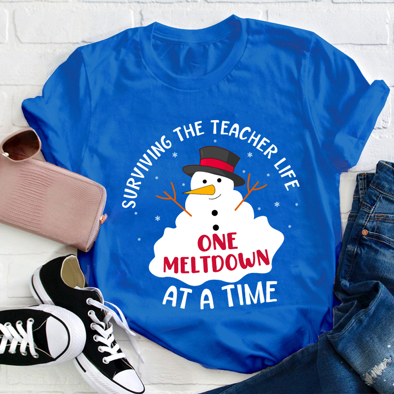 Surviving The Teacher At A Time Teacher T-Shirt