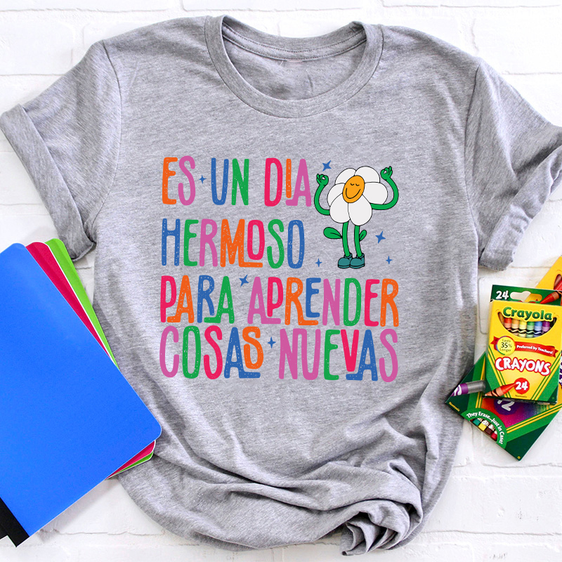 Es Un Dia Hermoso Para Aprender Cosas Nuevas Spanish Teacher T-Shirt