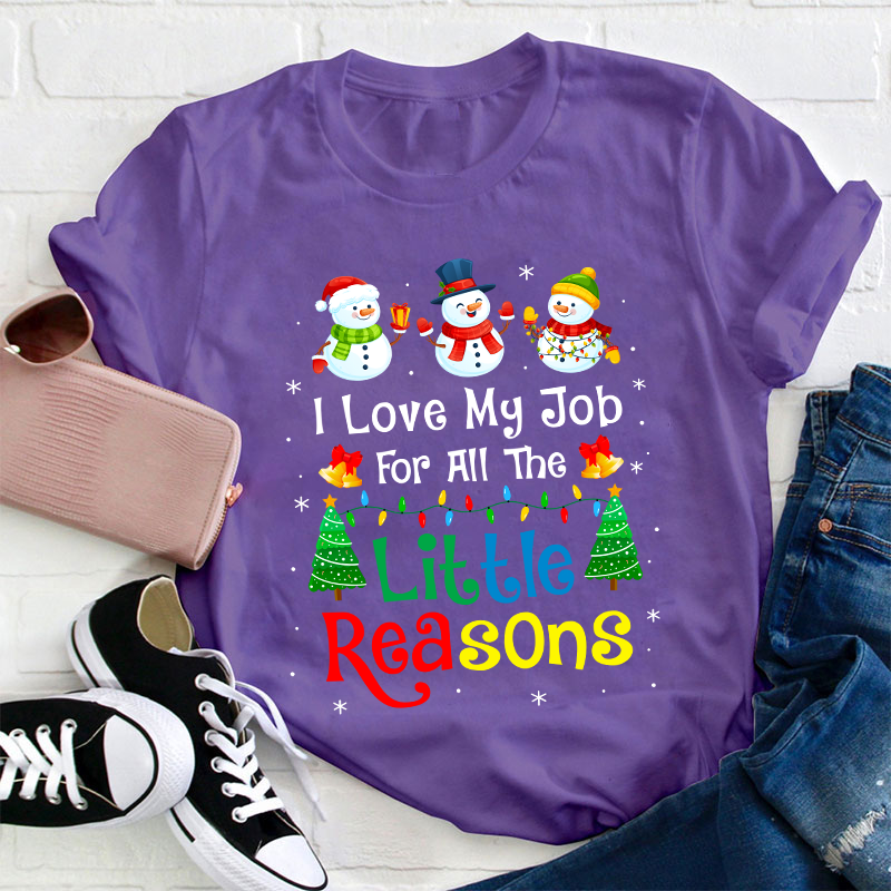 I Love My Job For All The Little Reasons Teacher T-Shirt