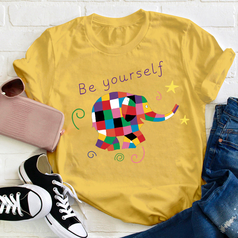 Be Yourself Teacher T-Shirt