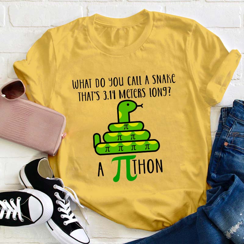 What Do You Call A Snake Teacher T-Shirt