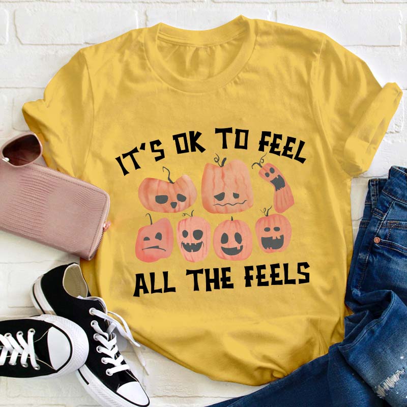 It's Ok To Feel All The Feels Teacher T-Shirt