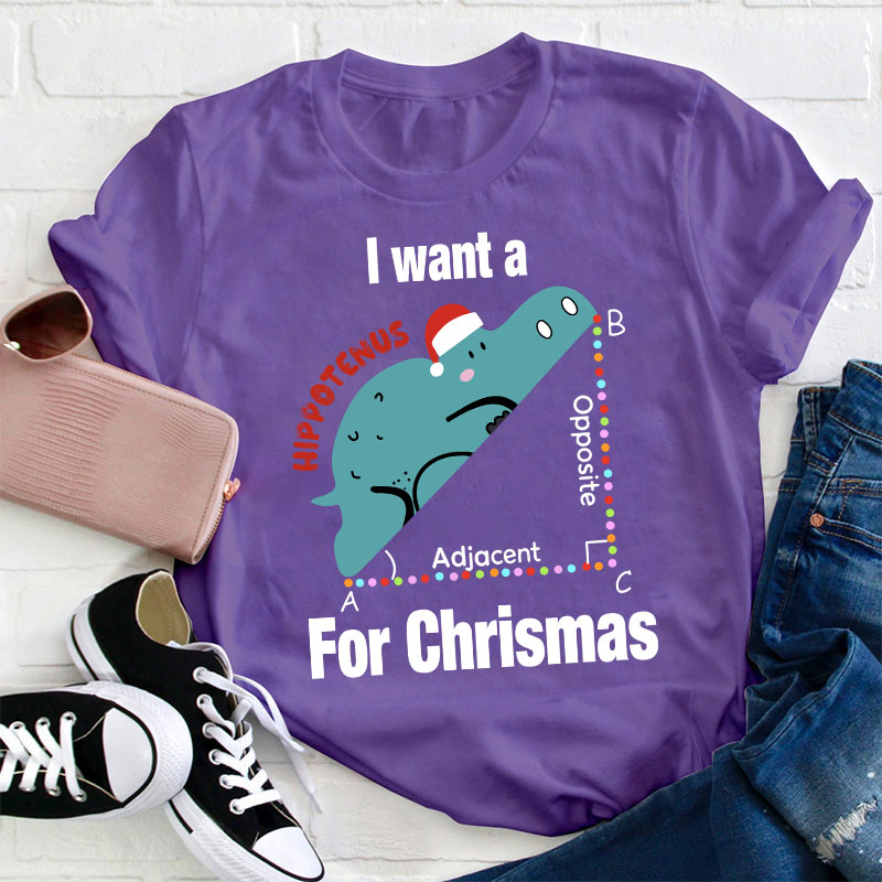 I Want A Hippotenus For Christmas Teacher T-Shirt