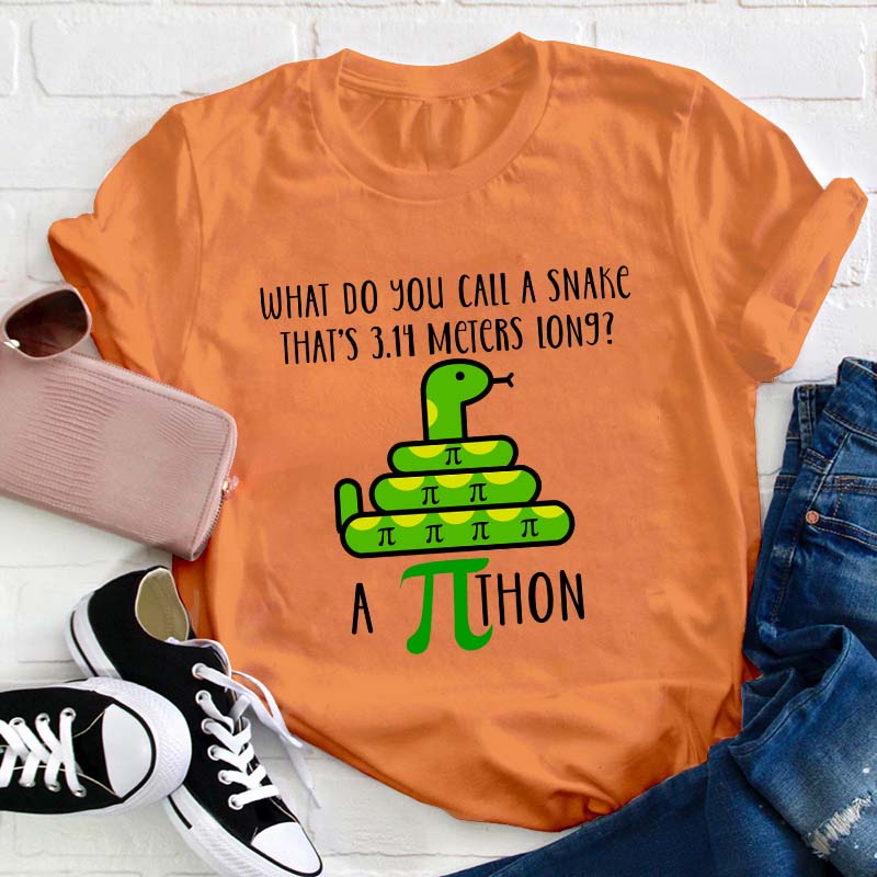 What Do You Call A Snake Teacher T-Shirt