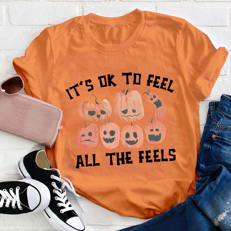 It's Ok To Feel All The Feels Teacher T-Shirt