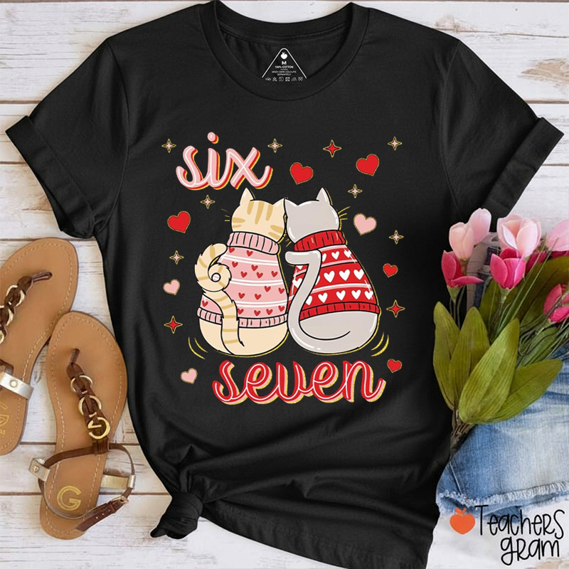 Funny Six Seven Cats Valentine Teacher T-Shirt