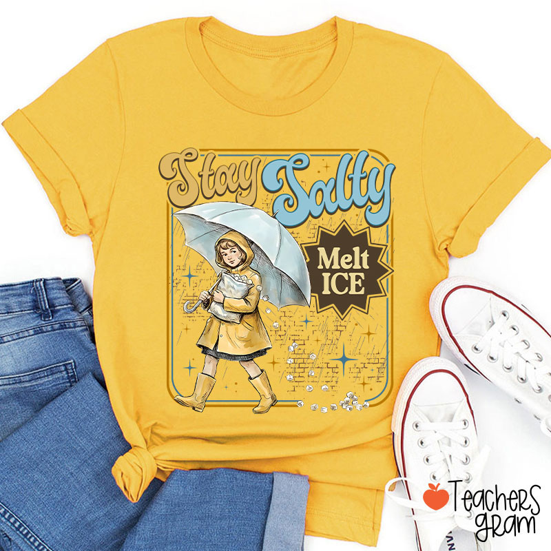 Stay Salty Melt Ice Subtle Anti Ice Teacher T-Shirt