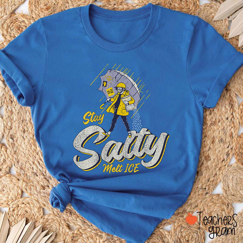 Stay Salty Melt Ice Social Justice Teacher T-Shirt