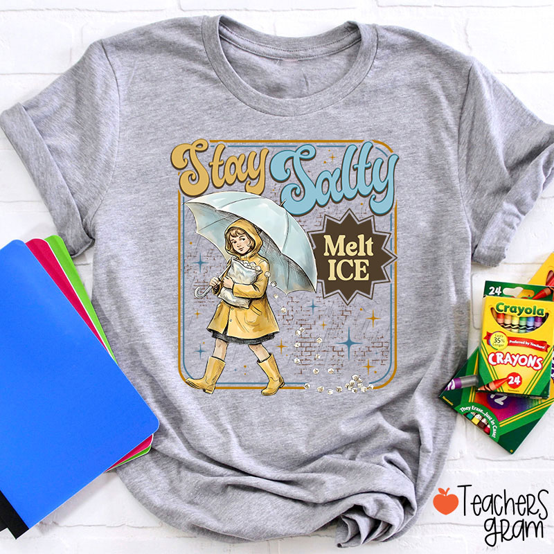 Stay Salty Melt Ice Subtle Anti Ice Teacher T-Shirt