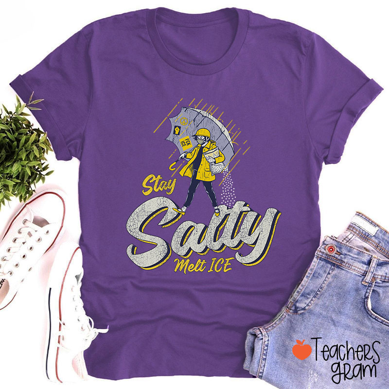 Stay Salty Melt Ice Social Justice Teacher T-Shirt