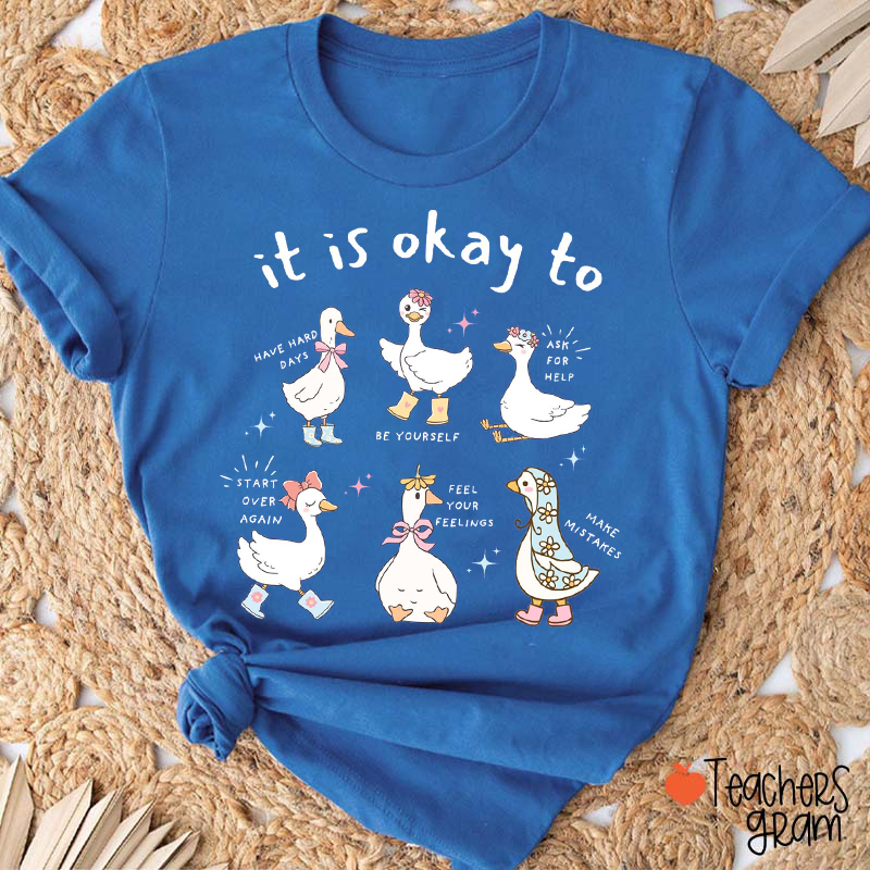 Silly Goose It Is Okay Teacher T-Shirt