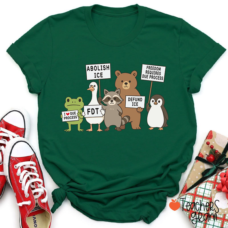 Abolish Ice Goose Comfort Colors Teacher T-Shirt