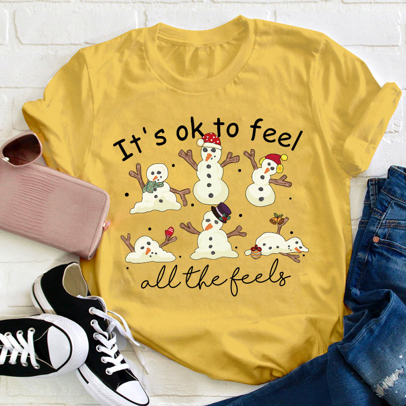 It's Ok To Feel All The Feels Teacher T-Shirt
