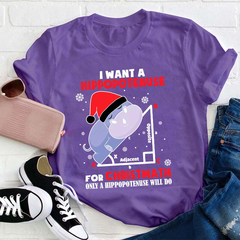 I Want A Hippopotenuse For Christmas Teacher T-Shirt