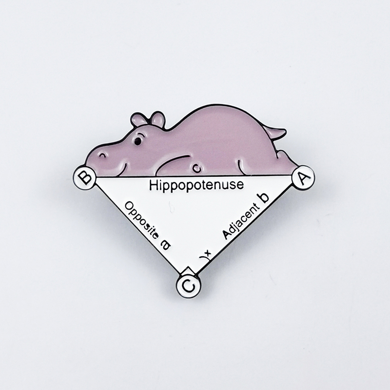 Turtle And Hippo Mathematics Teacher Pin