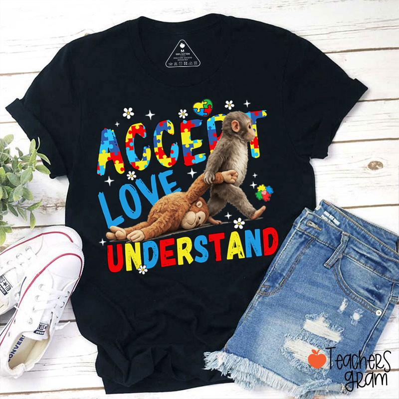 Accept Love Understand Punch Teacher T-Shirt