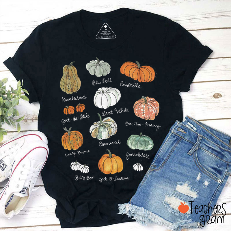 Cute Fall Various Pumpkin Teacher T-Shirt