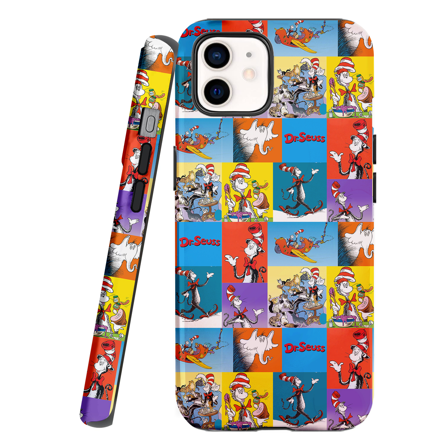 The Cat's Daily Routine Teacher Case