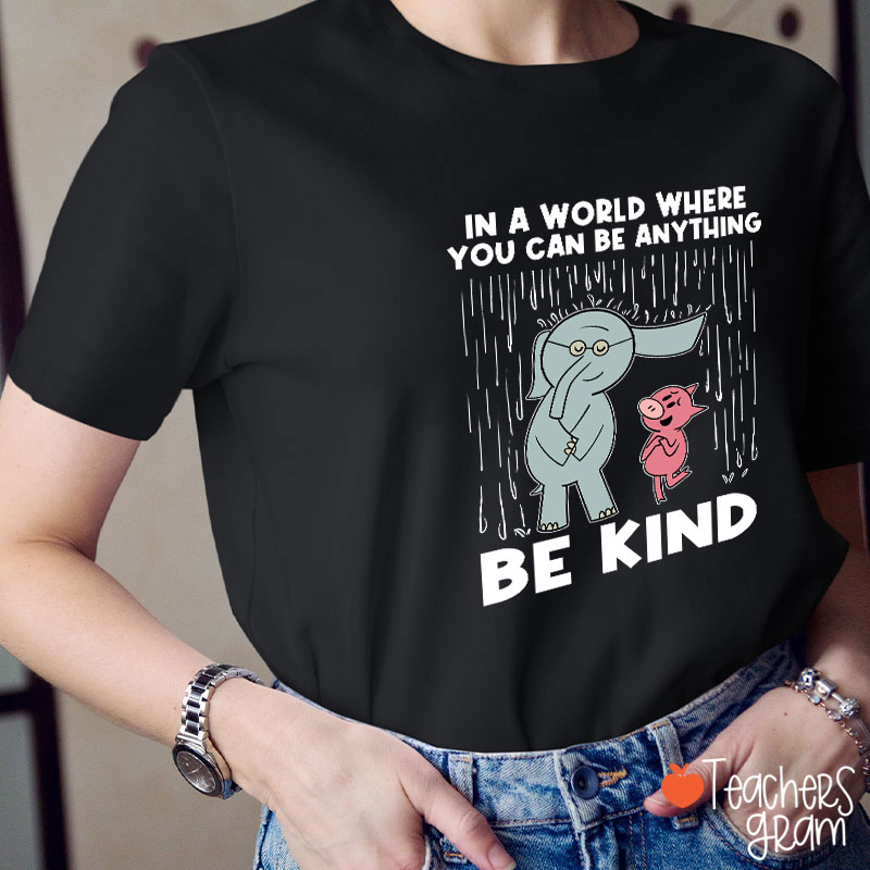 Be Kind In A World Where You Can Be Anything Teacher T-Shirt