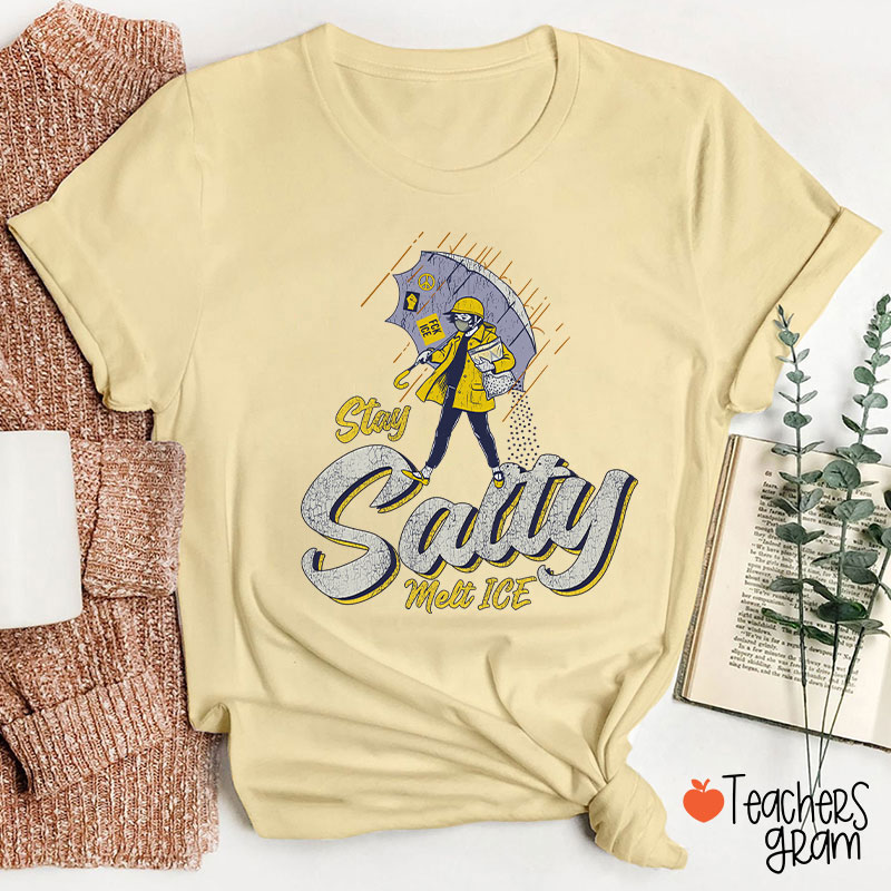 Stay Salty Melt Ice Social Justice Teacher T-Shirt