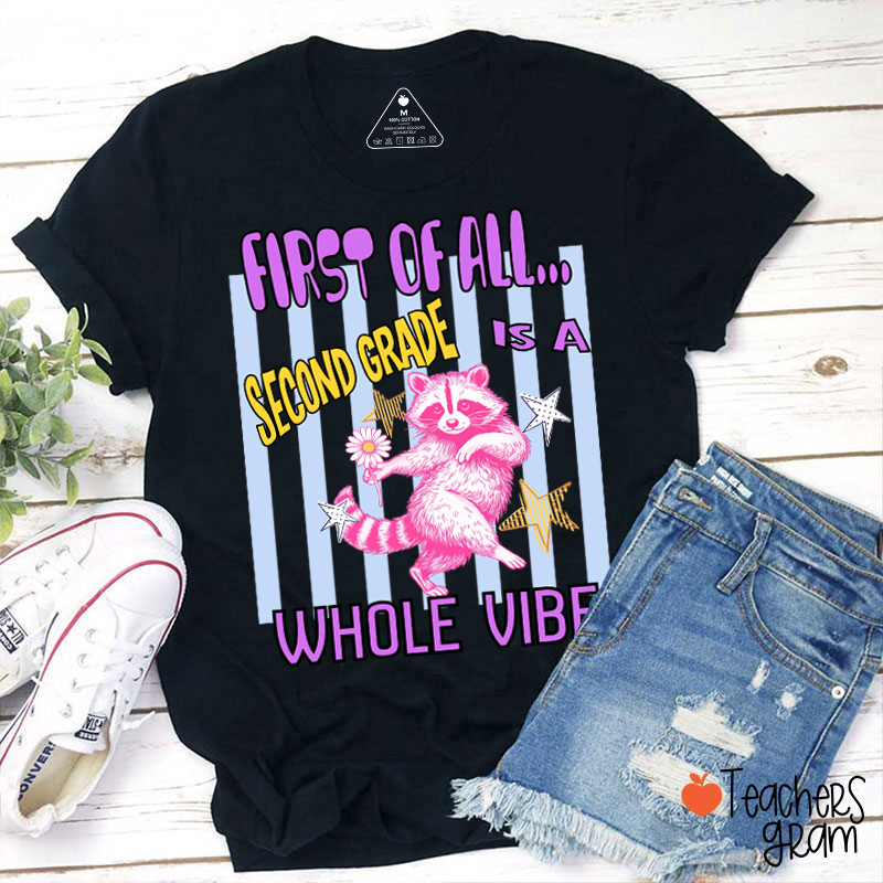 Personalized Grade Pink Raccoon Whole Vibe Teacher T-Shirt