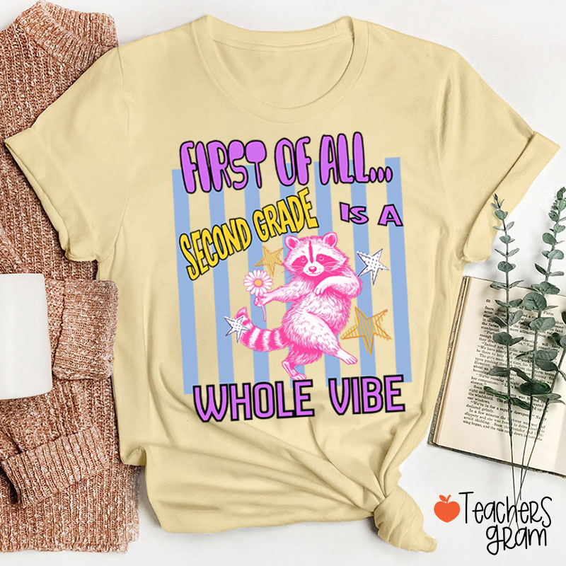 Personalized Grade Pink Raccoon Whole Vibe Teacher T-Shirt