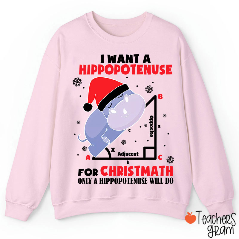 I Want A Hippopotenuse For Christmas Teacher Sweatshirt