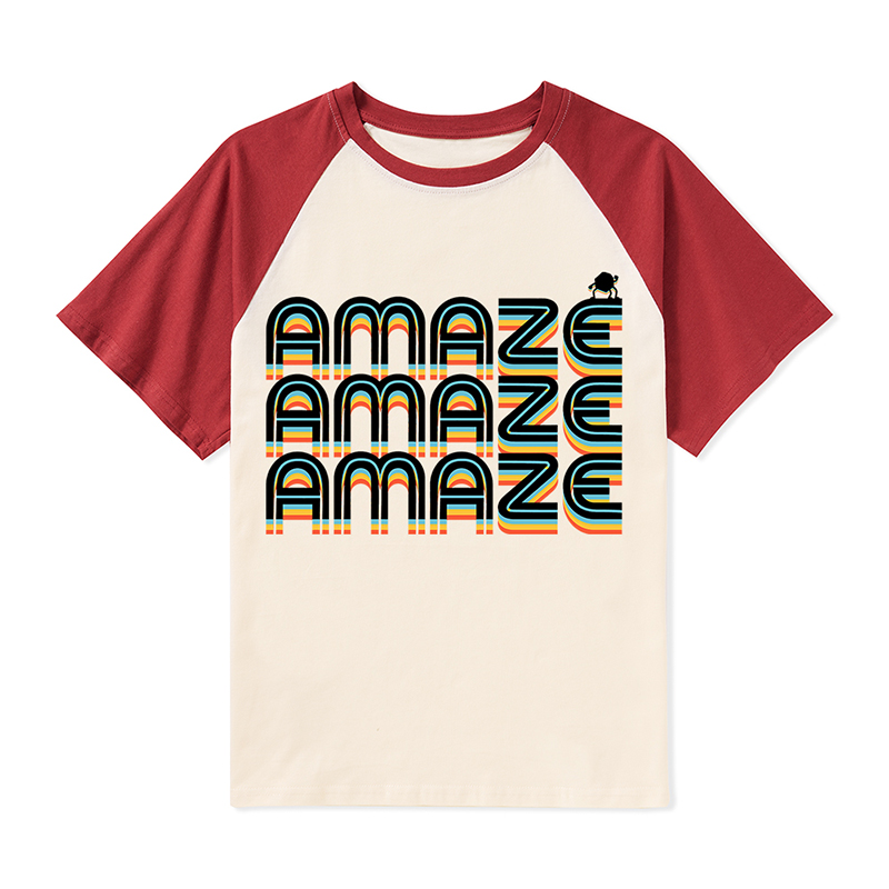 Amaze Stone Rainbow Teacher Raglan T-Shirt