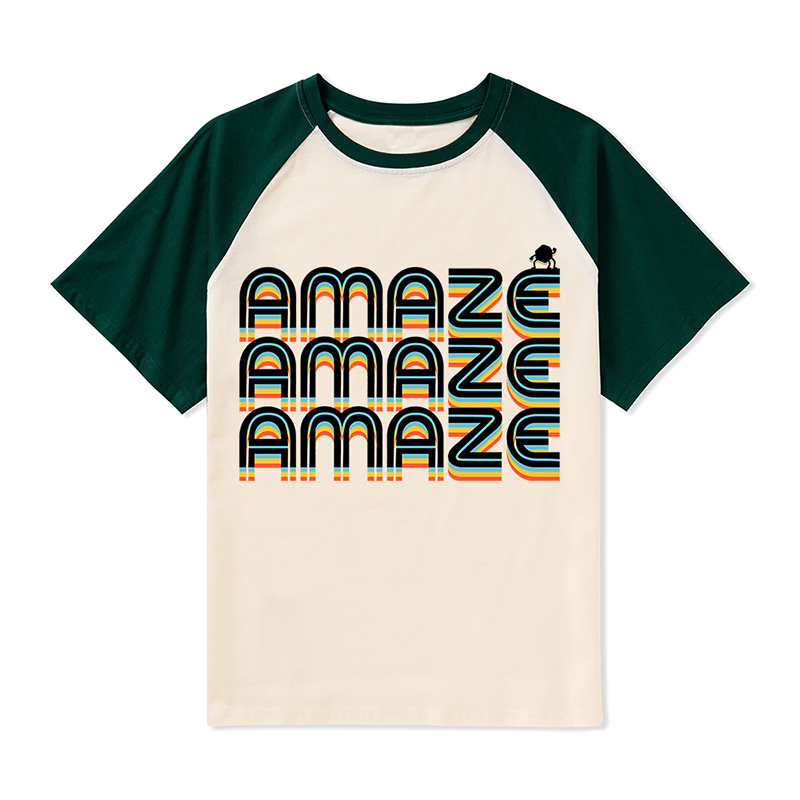 Amaze Stone Rainbow Teacher Raglan T-Shirt