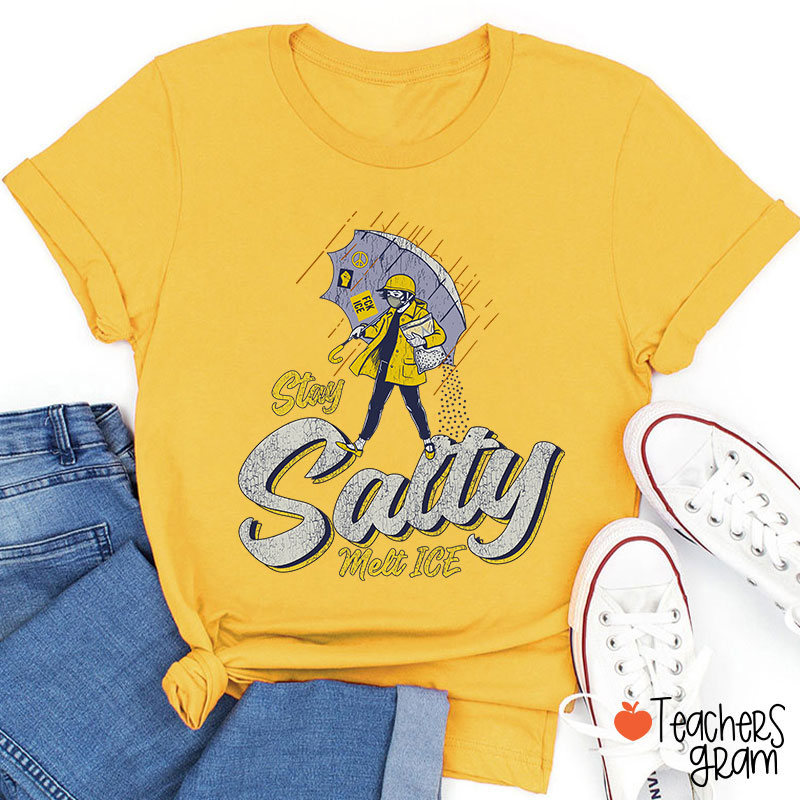 Stay Salty Melt Ice Social Justice Teacher T-Shirt
