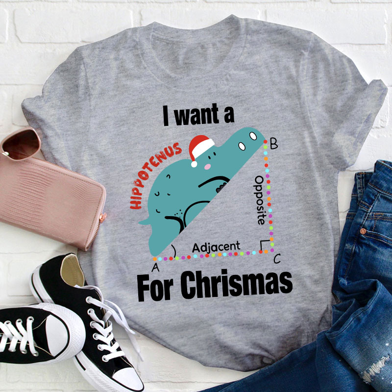 I Want A Hippotenus For Christmas Teacher T-Shirt