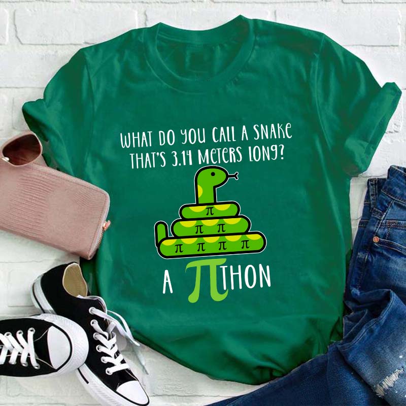 What Do You Call A Snake Teacher T-Shirt