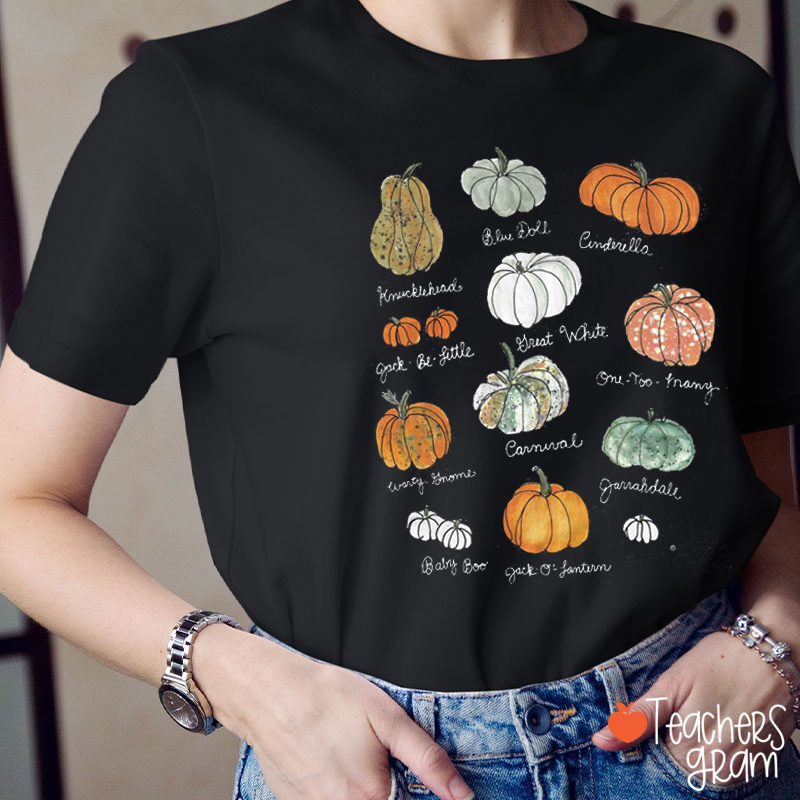 Cute Fall Various Pumpkin Teacher T-Shirt