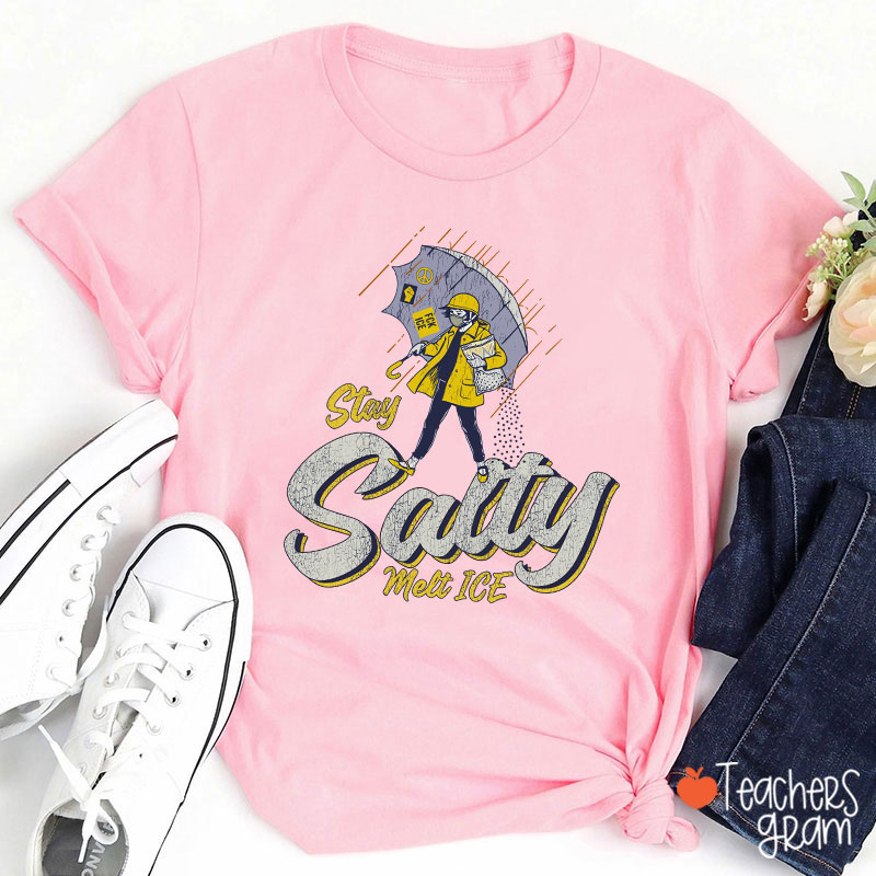 Stay Salty Melt Ice Social Justice Teacher T-Shirt