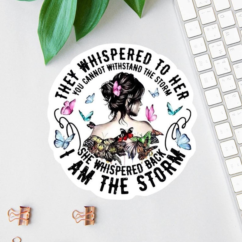 I Am The Storm Teacher Stickers