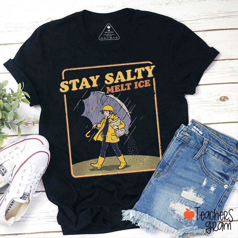 Stay Salty Melt Ice Teacher T-Shirt