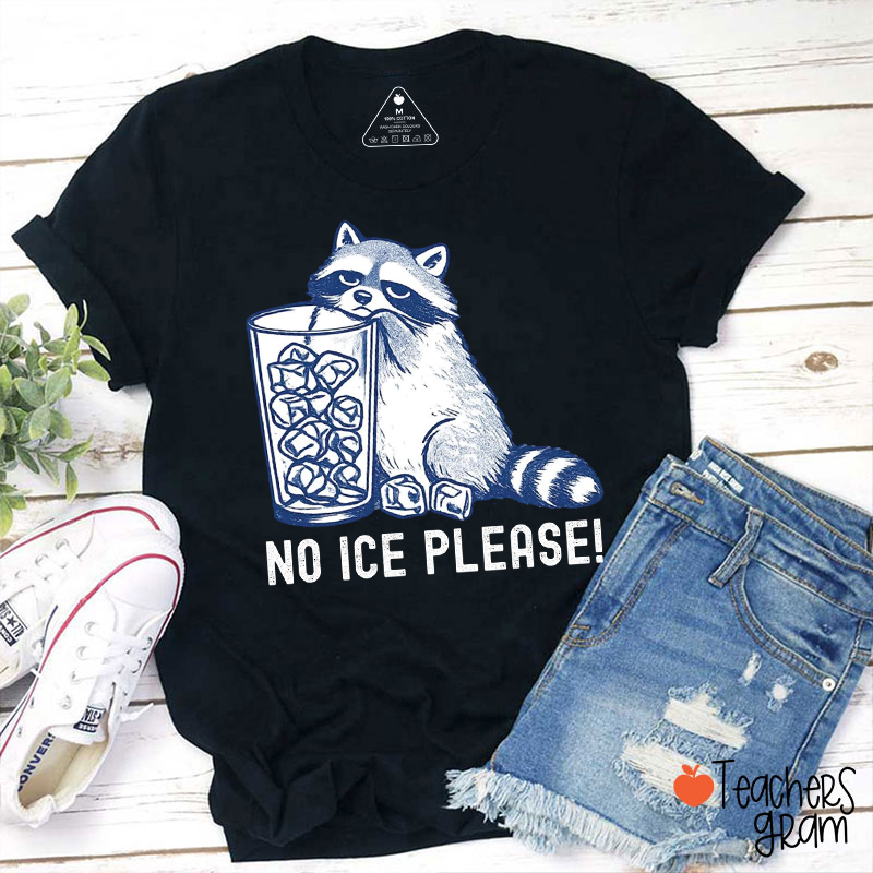 No Ice Please Raccoon Teacher T-Shirt