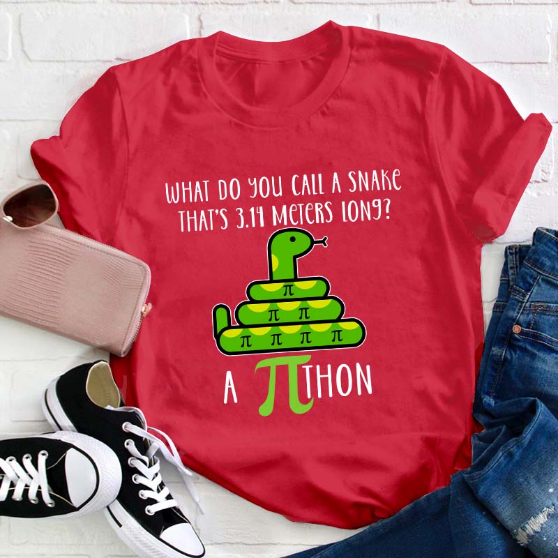 What Do You Call A Snake Teacher T-Shirt