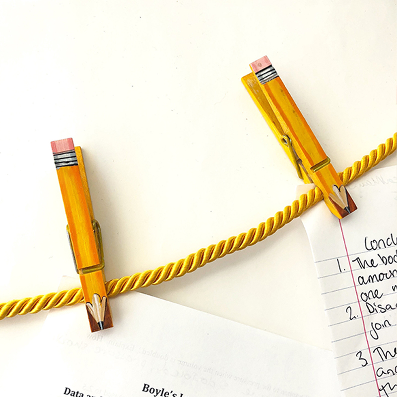 Painted Clothespin Magnets Teacher(10Pcs)