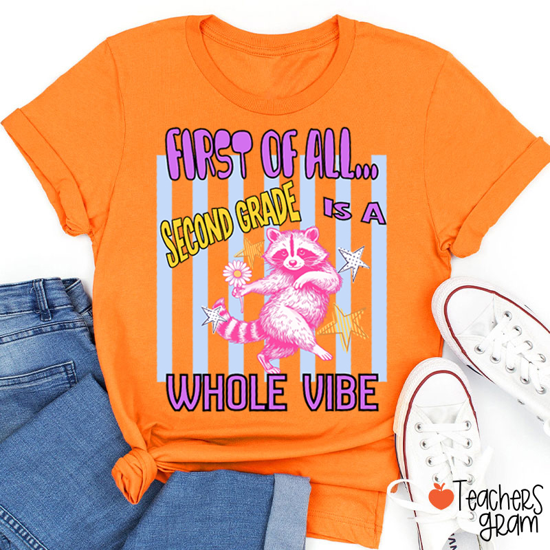 Personalized Grade Pink Raccoon Whole Vibe Teacher T-Shirt