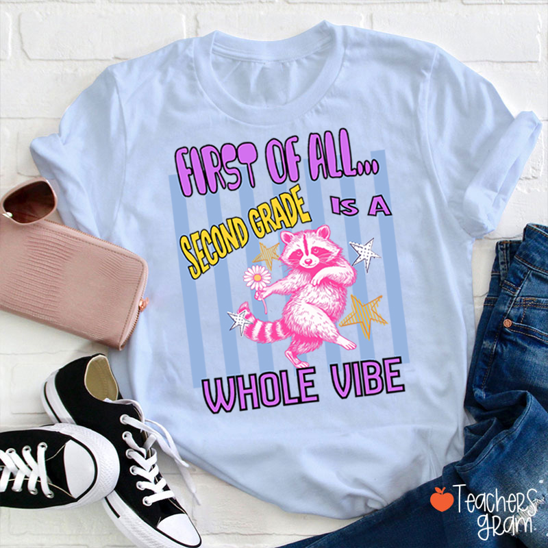 Personalized Grade Pink Raccoon Whole Vibe Teacher T-Shirt