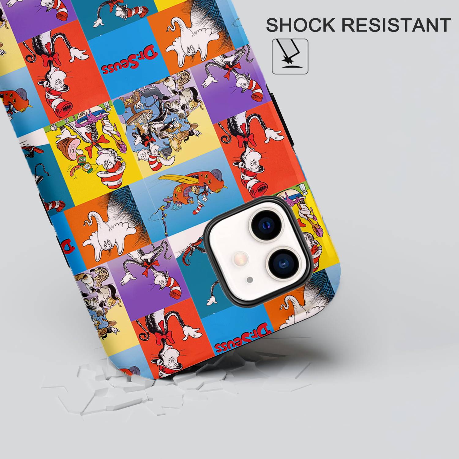 The Cat's Daily Routine Teacher Case