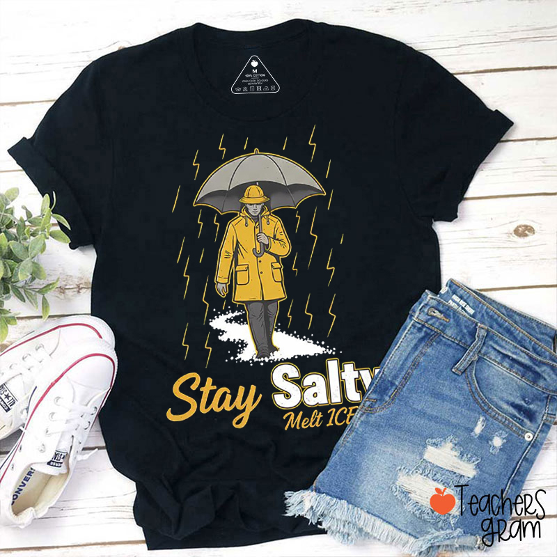 Stay Salty Melt Ice Human Rights Teacher T-Shirt