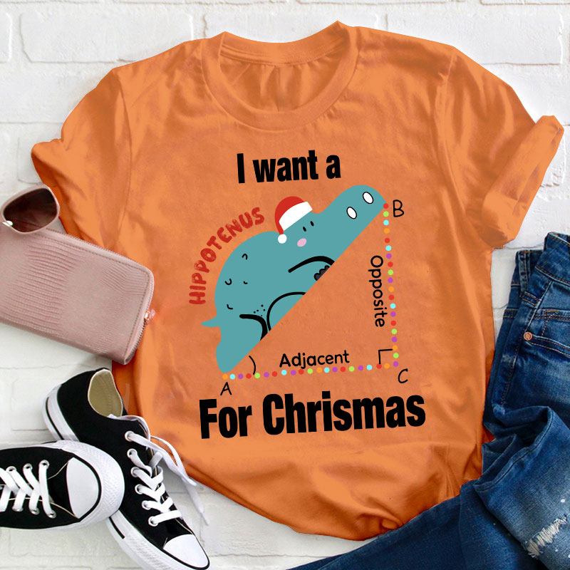 I Want A Hippotenus For Christmas Teacher T-Shirt