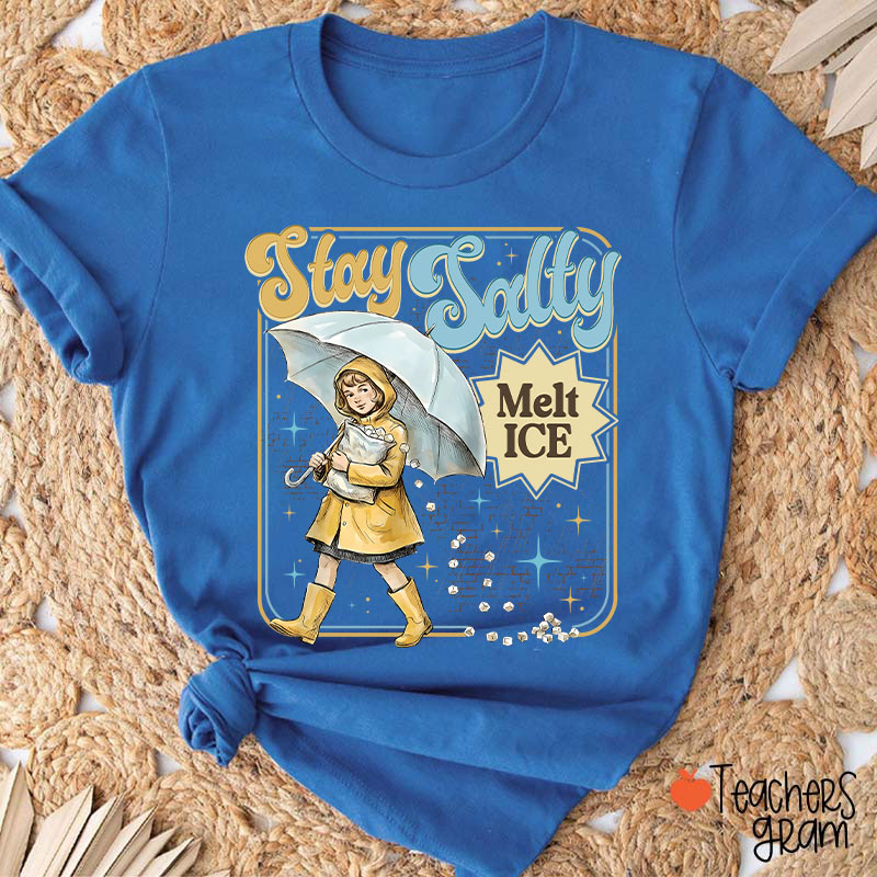 Stay Salty Melt Ice Subtle Anti Ice Teacher T-Shirt