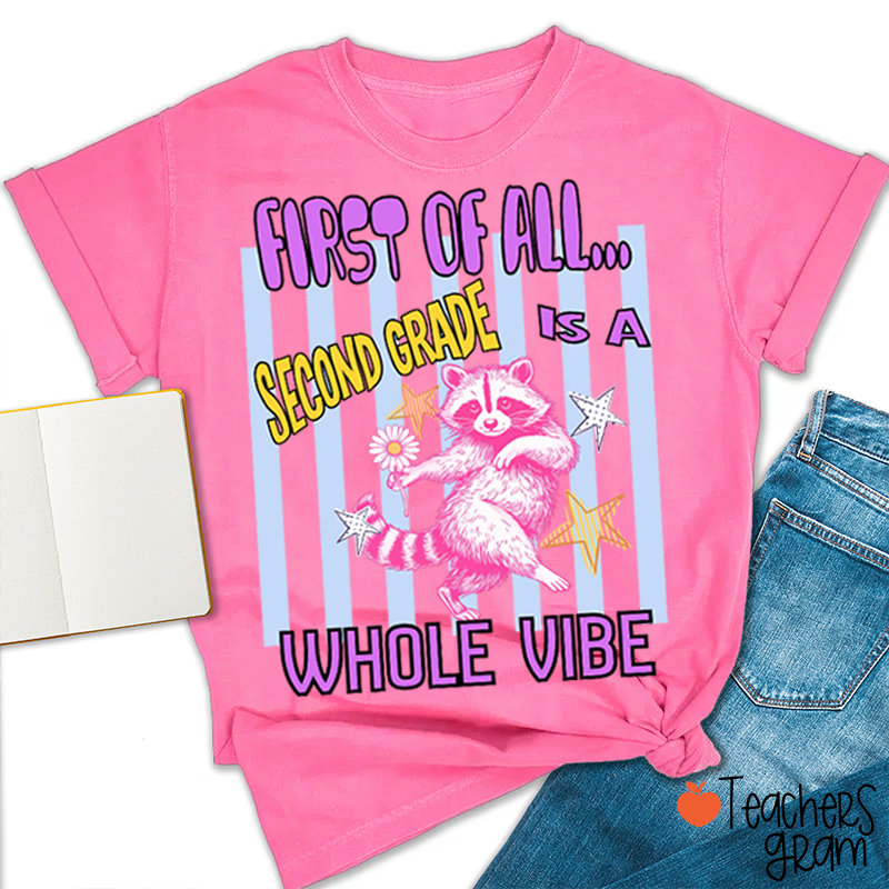 Personalized Grade Pink Raccoon Whole Vibe Teacher T-Shirt