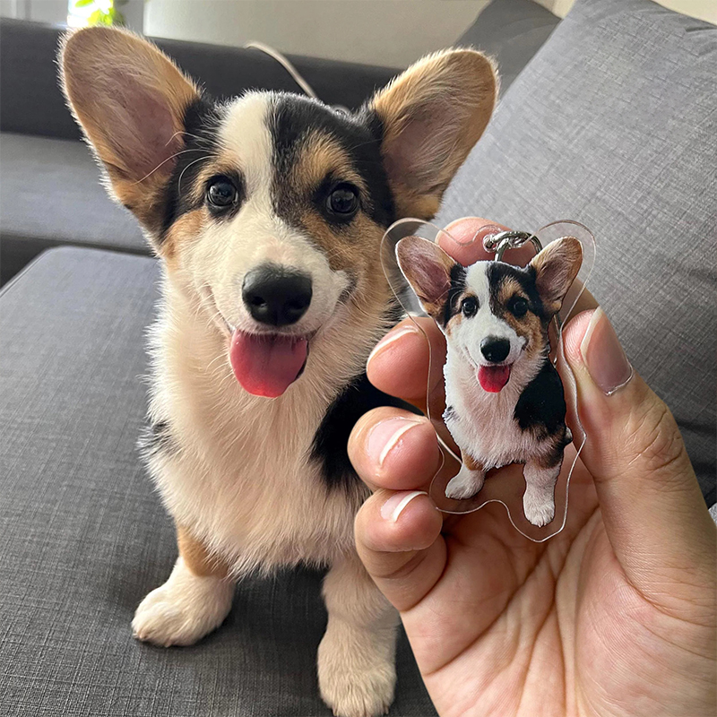 Personalized Pet Photo Teacher Keychain
