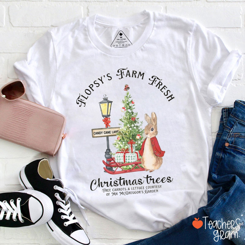 Christmas Apparel Rabbit Teacher T-Shirt