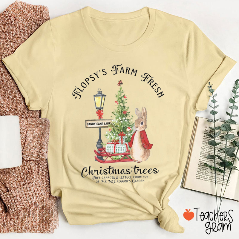 Christmas Apparel Rabbit Teacher T-Shirt